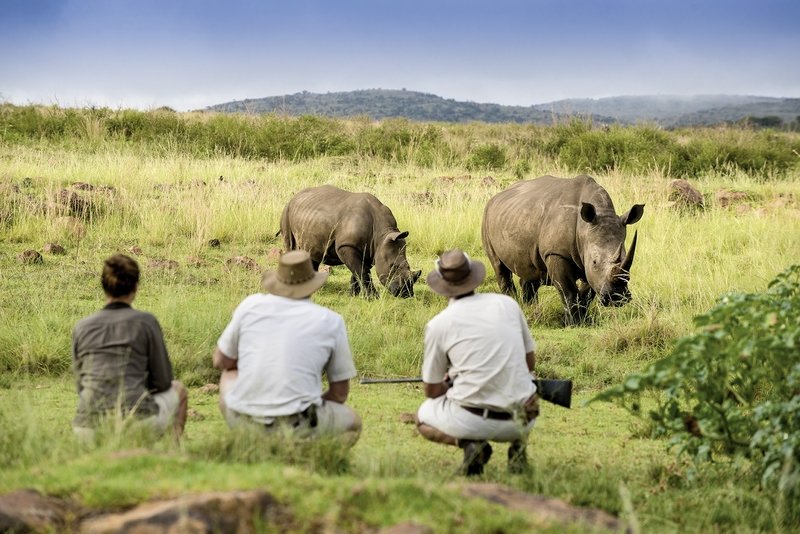 Mhondoro Lodge 23
