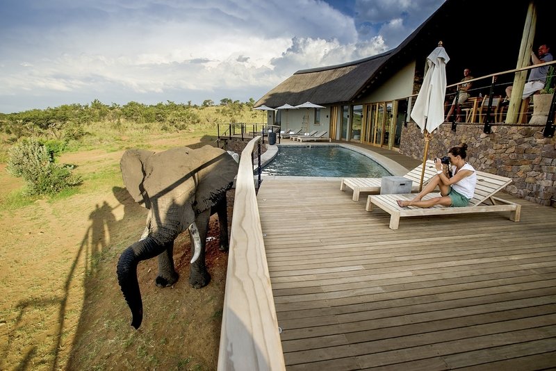 Mhondoro Lodge 24