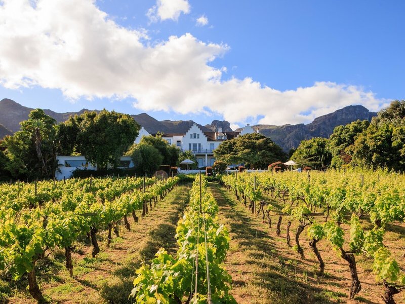 The Cellars Hohenort 6