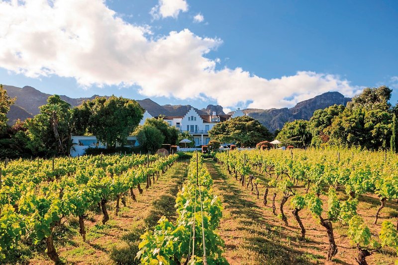 The Cellars-Hohenort Hotel 33