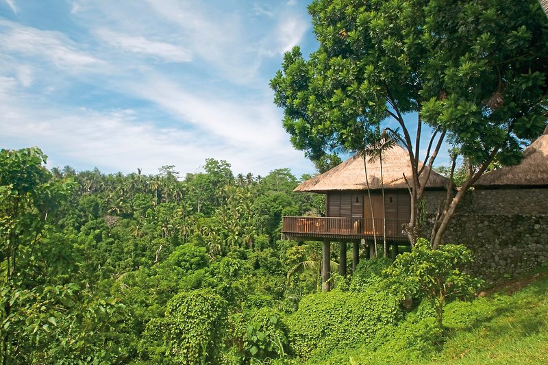 Alila Ubud 10