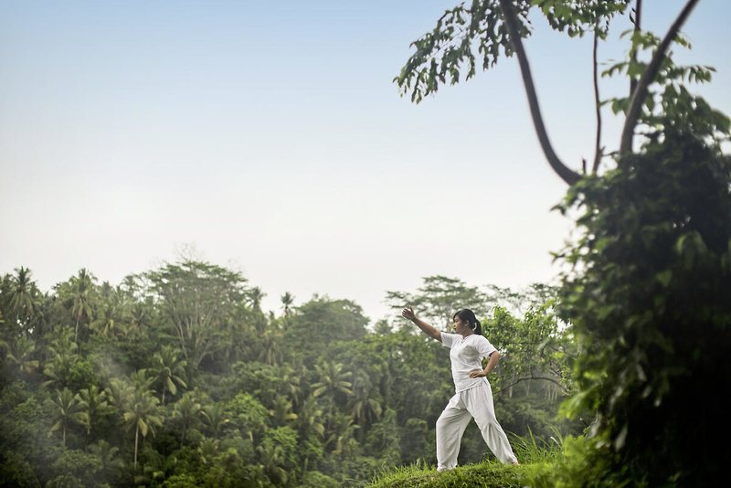 Alila Ubud 28