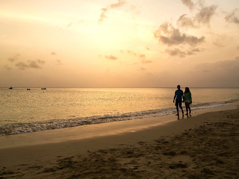 Beach View 13