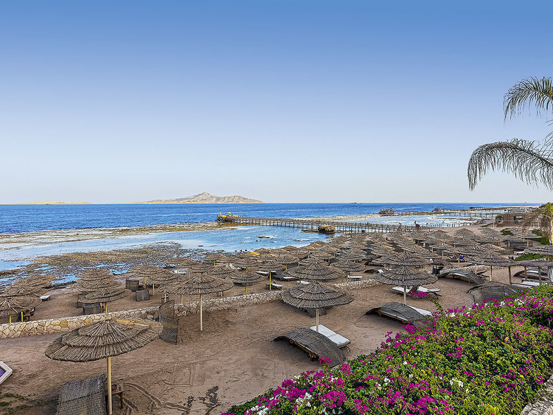 The Cleopatra Luxury Resort 12