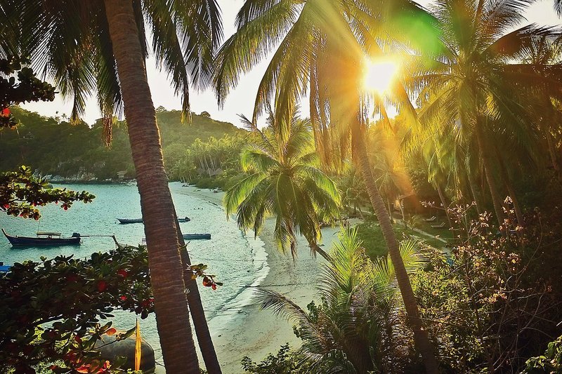 The Haad Tien Beach Resort 18