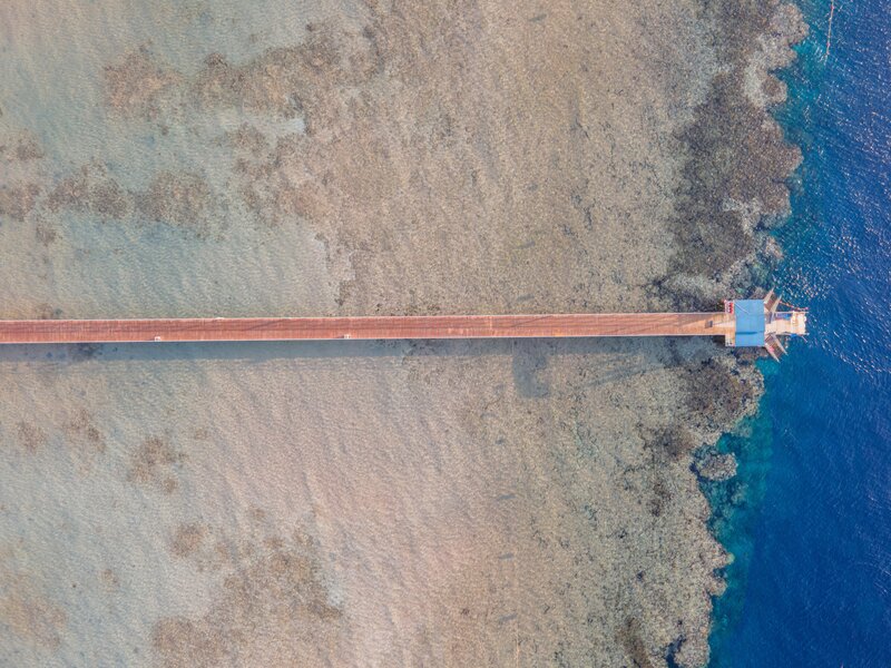 Pickalbatros Palace Resort - Sharm El Sheikh 70