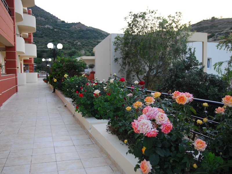 Elpis Studios & Appartements 6