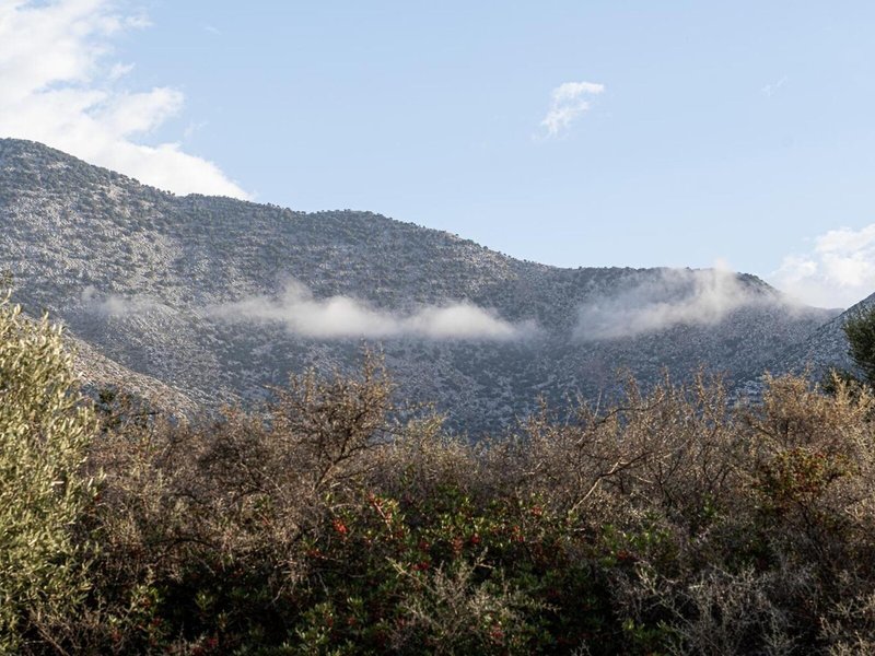 Elpis Studios & Appartements 9