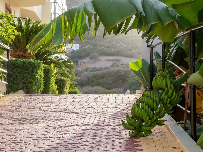 Elpis Studios & Appartements 27