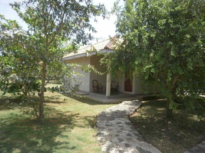 Kassapa Lions Rock 3