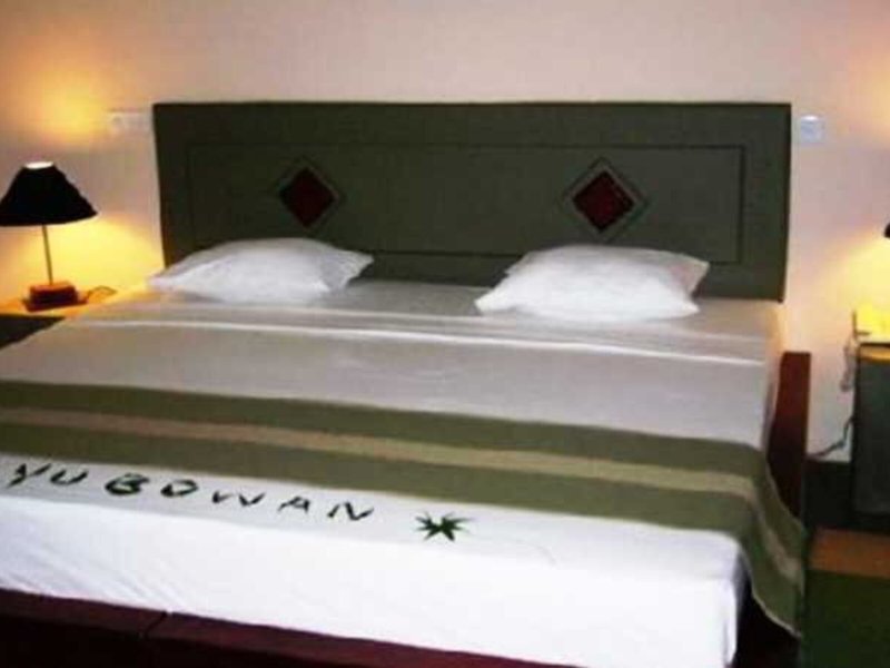 Kassapa Lions Rock 12