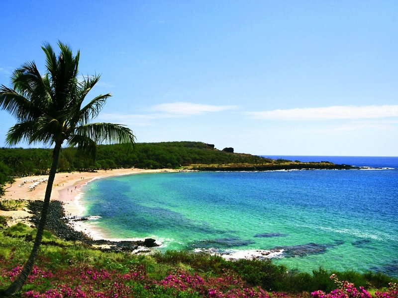 Four Seasons Resort Lanai 17