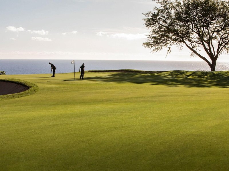 Four Seasons Resort Lanai 41