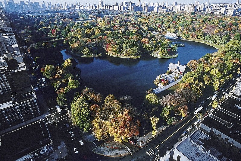Lotte New York Palace 7