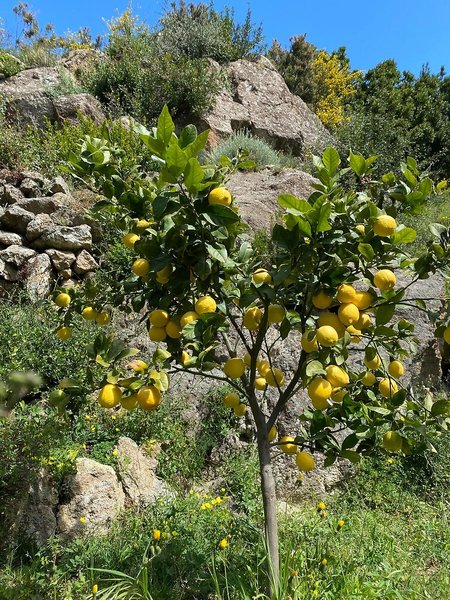 Botania Relais & Spa 15