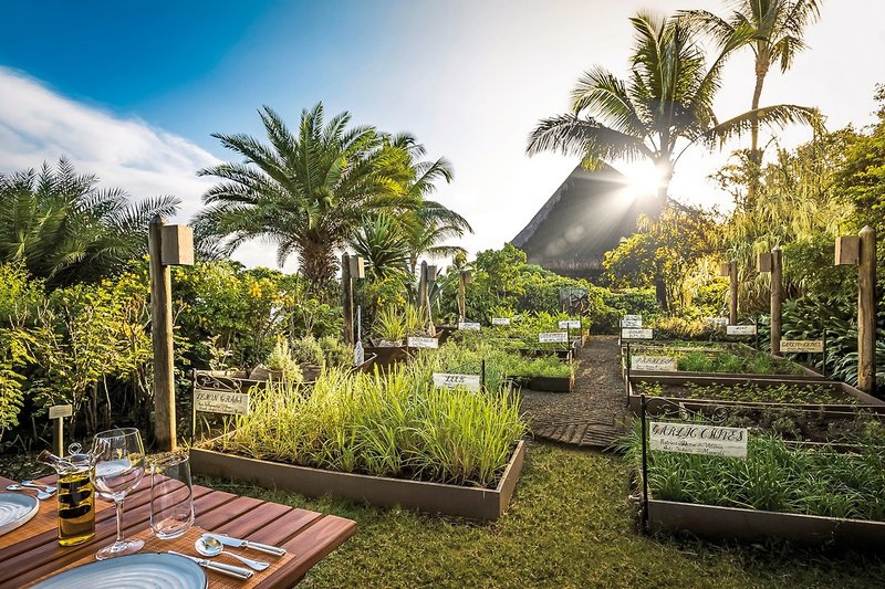 The Oberoi Mauritius 20 - Garden