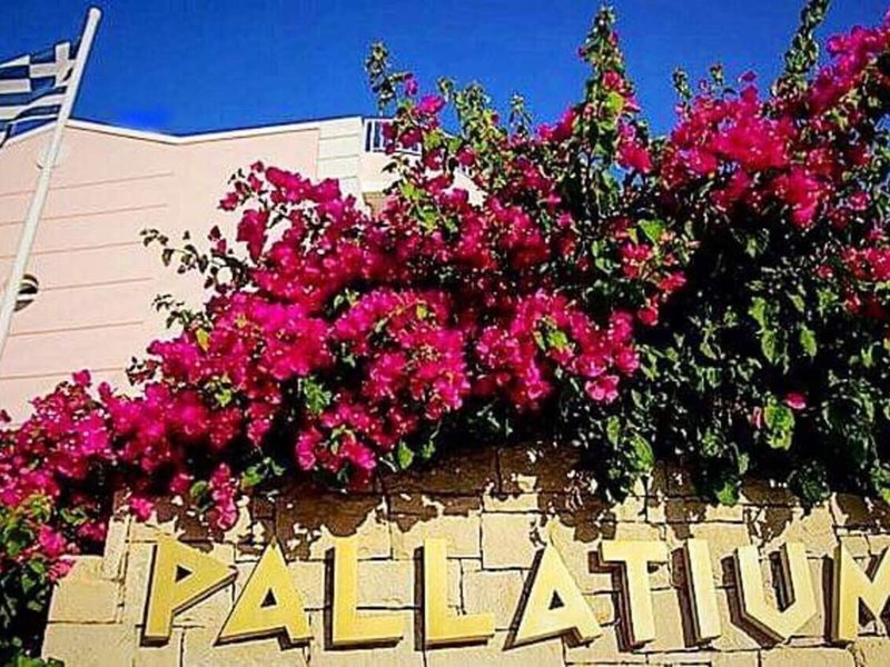Pallatium Apartments 6