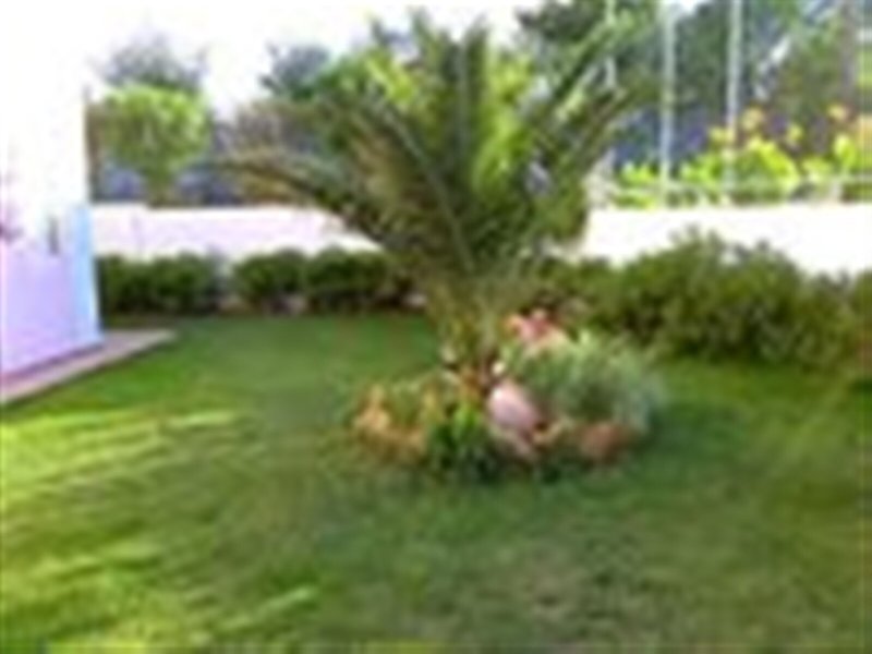 Pallatium Apartments 7