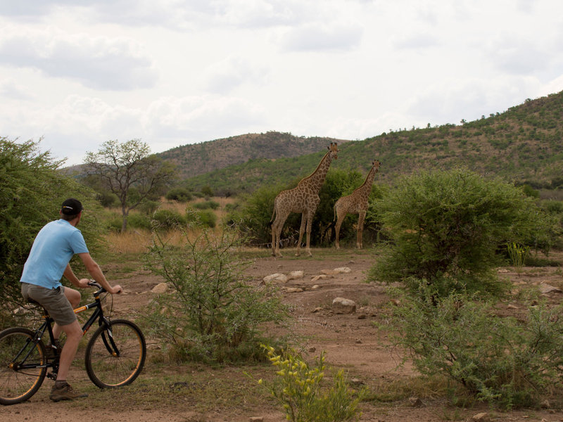 The Palace of The Lost City 32