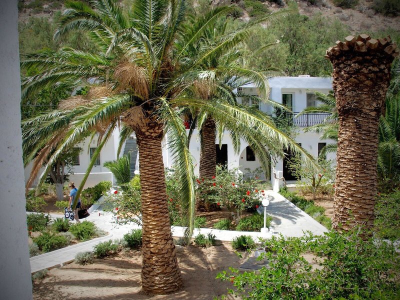 Avra Palm 6 - Exterior