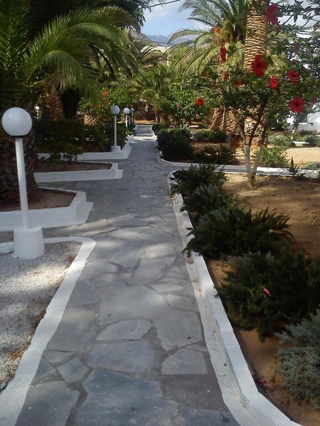 Avra Palm 20 - Terrace