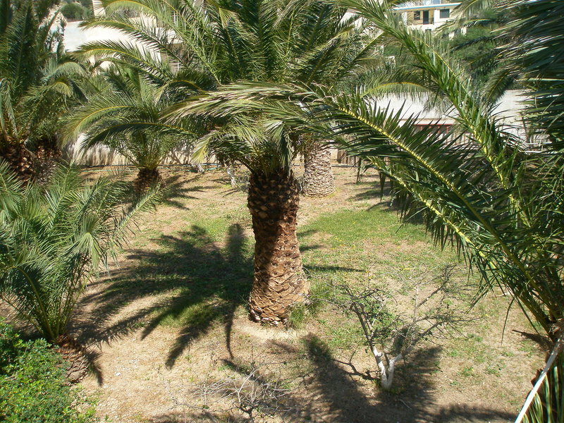 Avra Palm 30 - Room Example