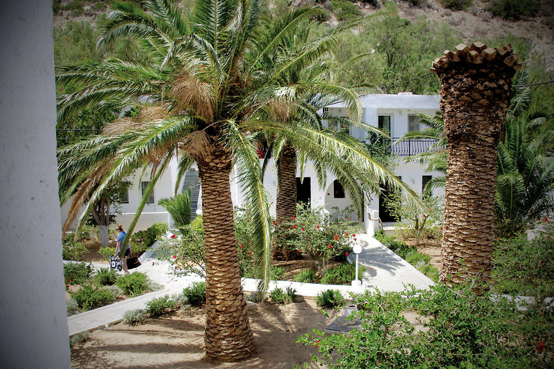 Avra Palm Hotel 6