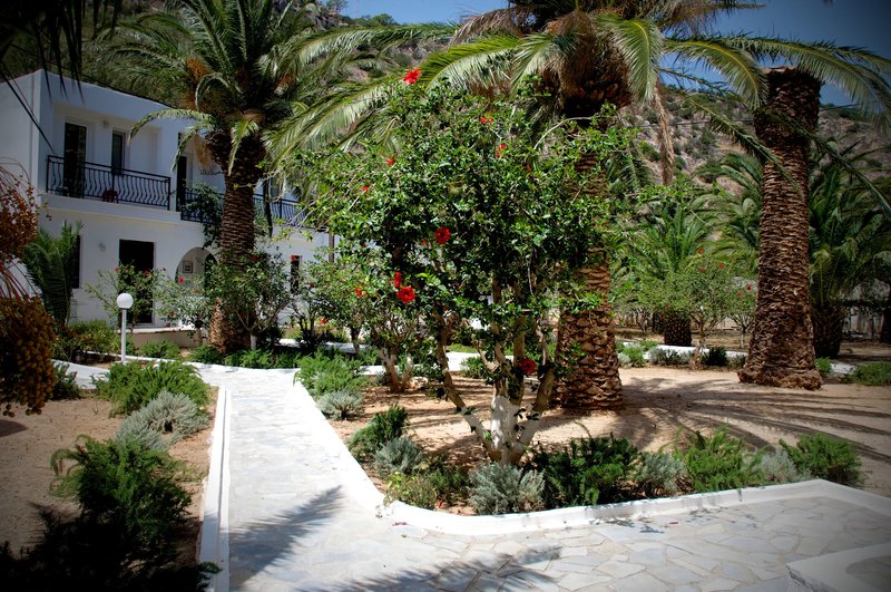 Avra Palm Hotel 7