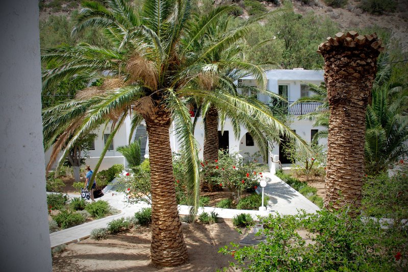 Avra Palm Hotel 8