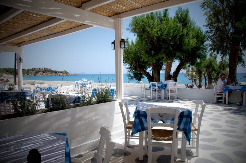 Avra Palm Hotel 17