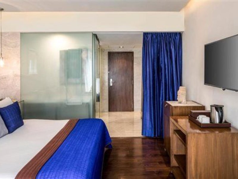 The Park Hotel New Delhi 43