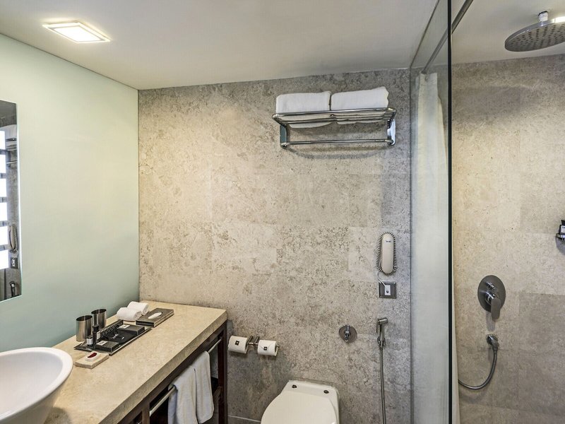 The Park Hotel New Delhi 44