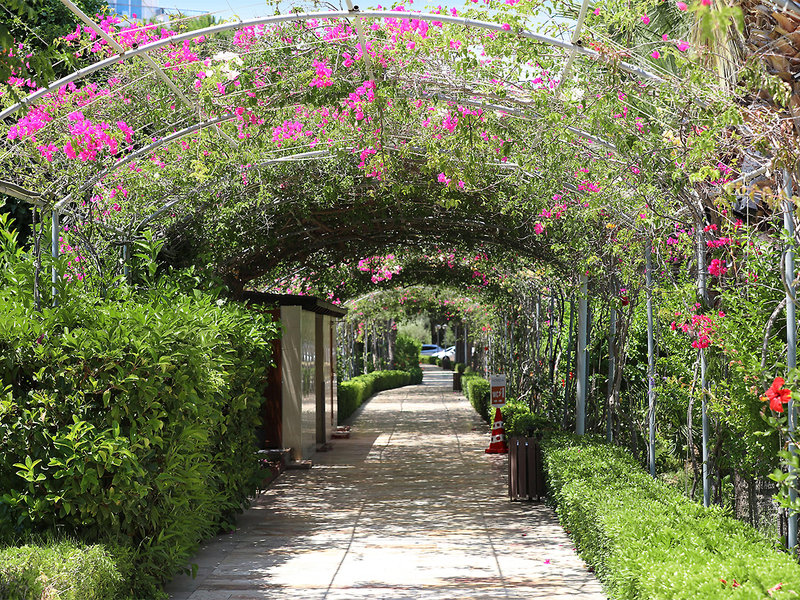 Venosa Beach Resort & Spa 9