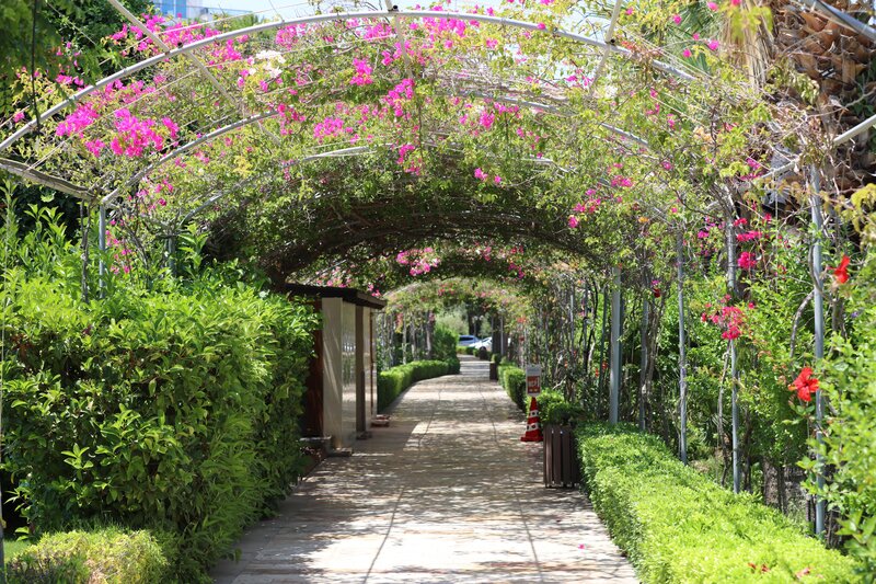 Venosa Beach Resort & Spa 38