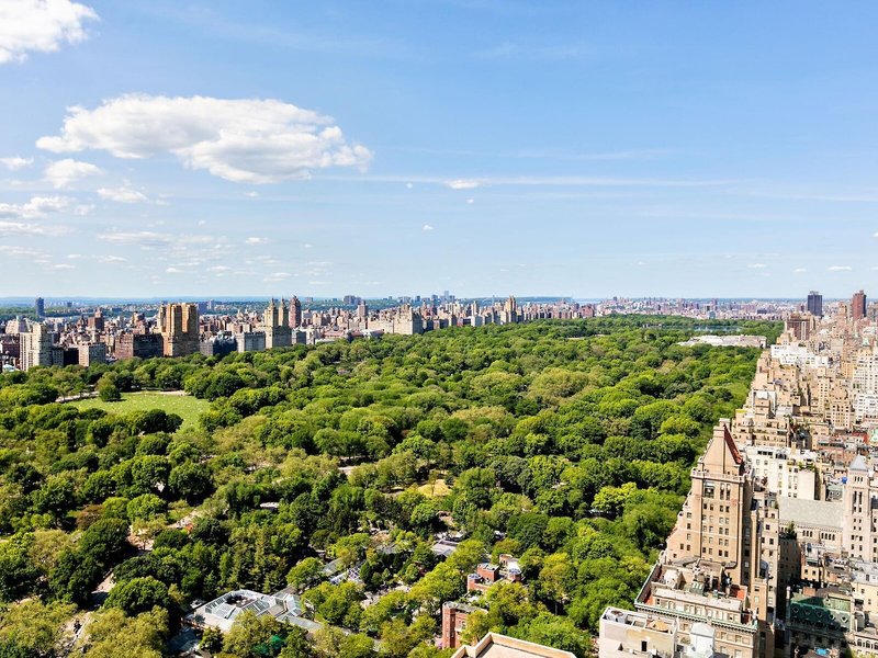 The Pierre, a Taj Hotel 9