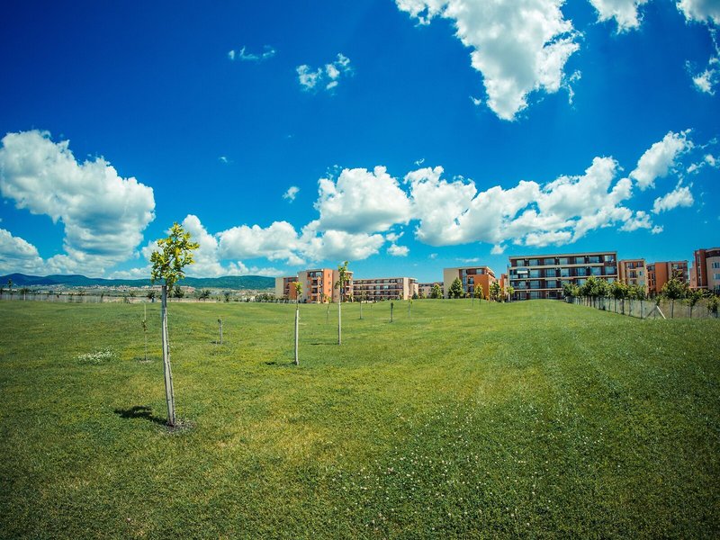 Holiday & Orchid Fort Golf Club 3