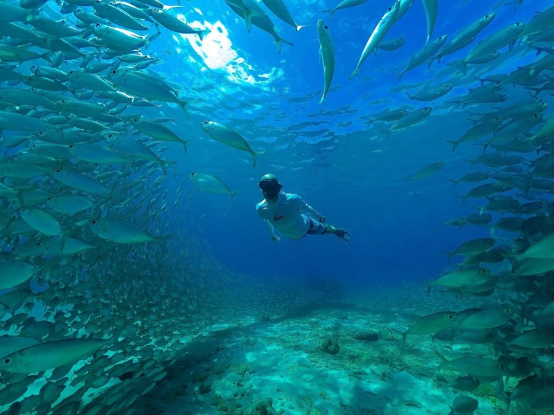 Blue Bay Curacao Golf & Beach Resort 41