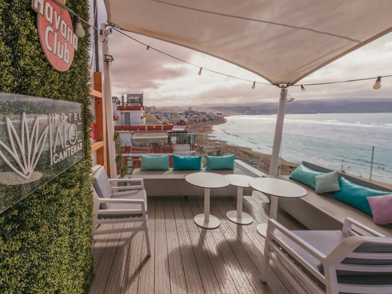 Aloe Canteras 2
