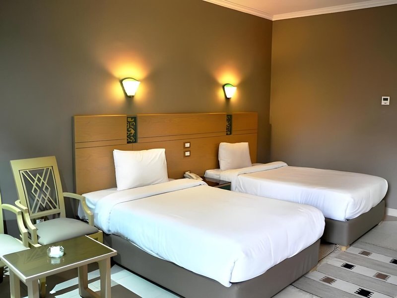 Regina Swiss Inn Resort & Aqua Park 45