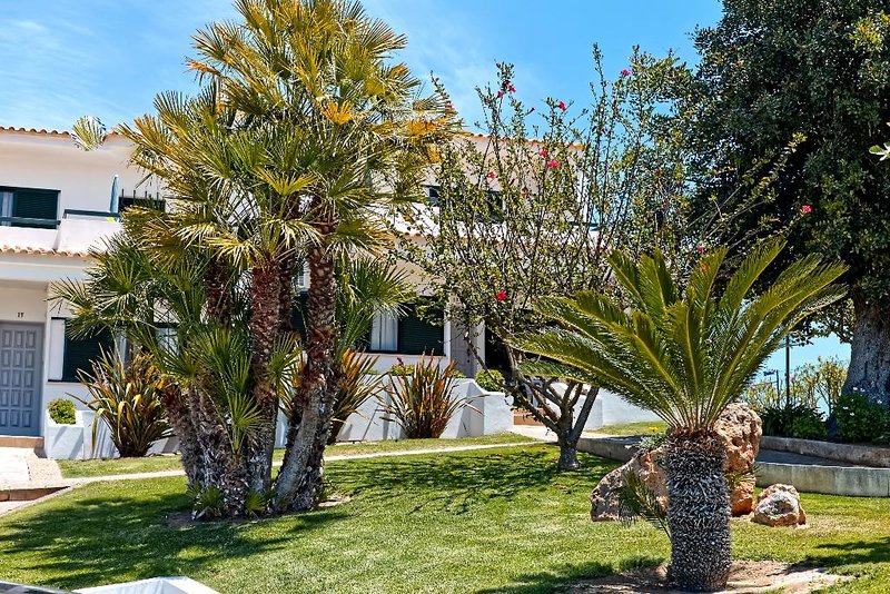 Parque Monte Verde 1