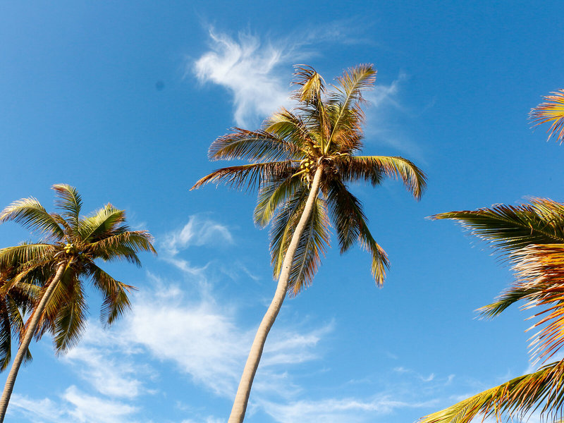 African Sun Sea Beach Resort & Spa 9