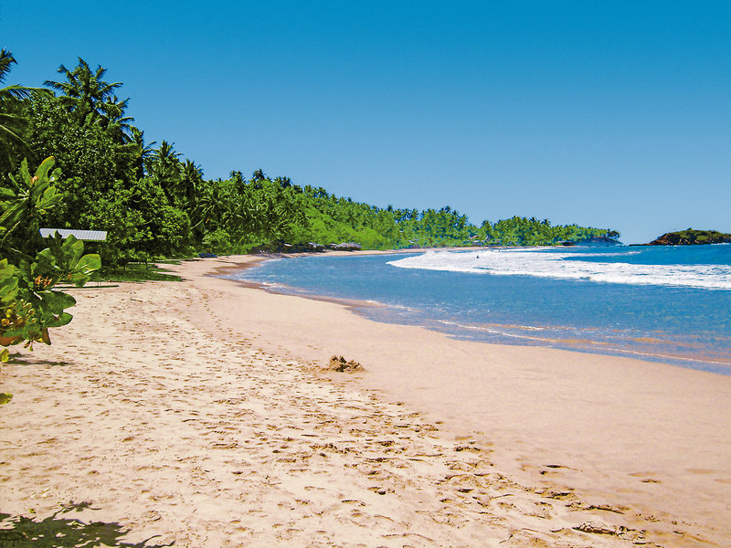 Paradise Beach Club Mirissa 10