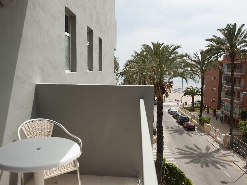 El Palmeral 2