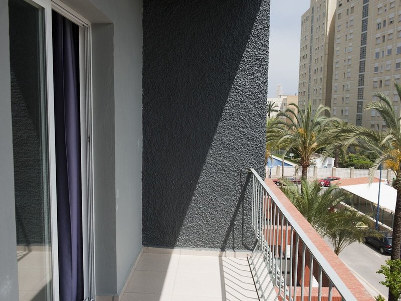 El Palmeral 4