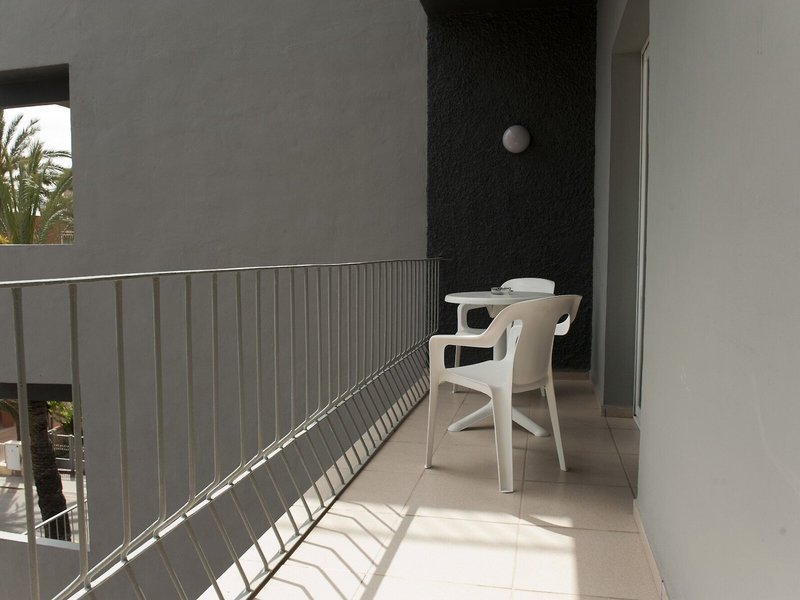El Palmeral 5