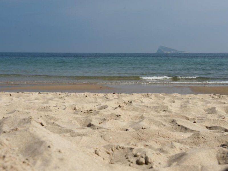 El Palmeral 6