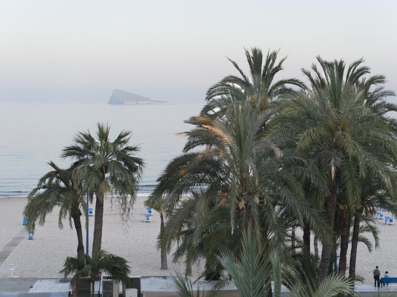 El Palmeral 8