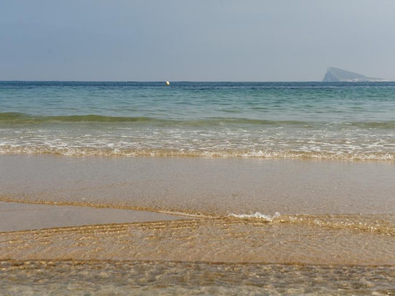 El Palmeral 9