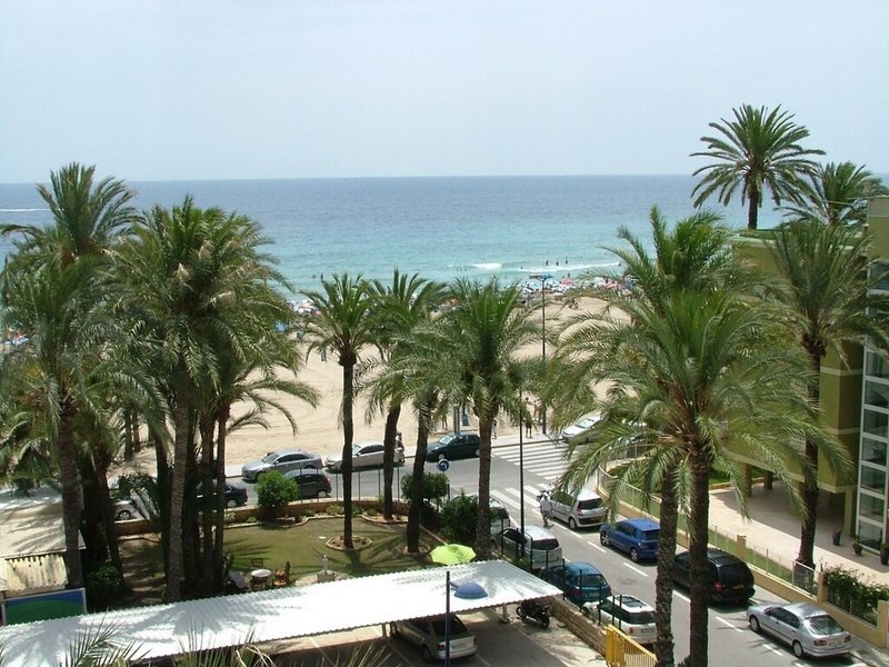 El Palmeral 10