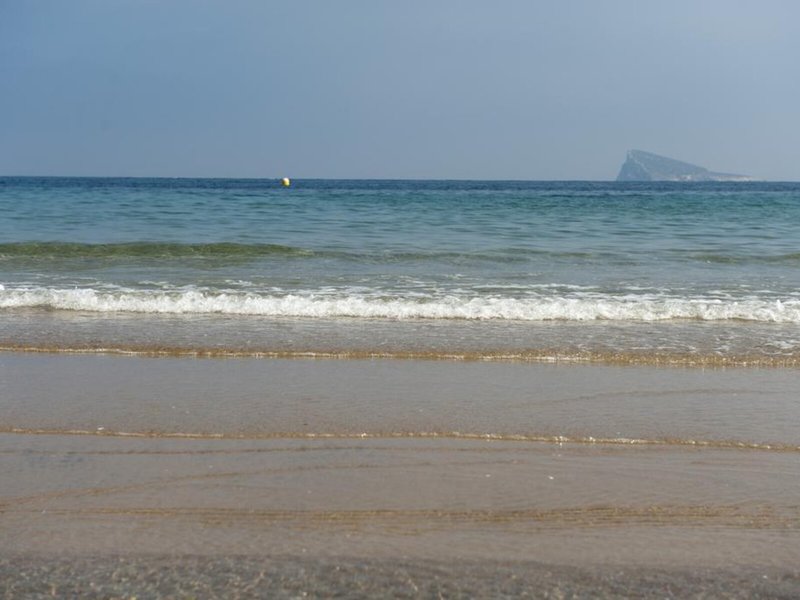 El Palmeral 11